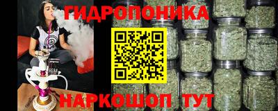 2c-b Обь