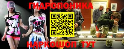 прущие грибы Нягань