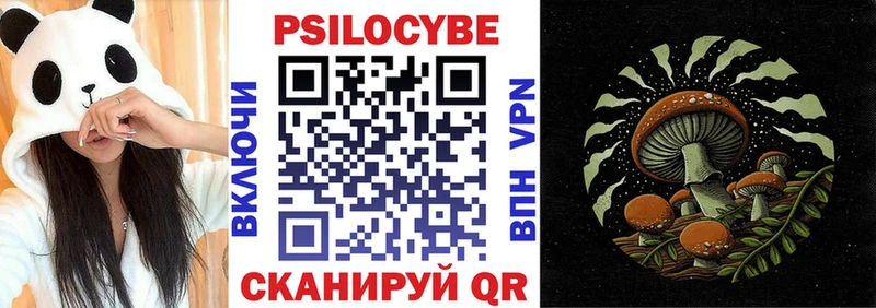 Галлюциногенные грибы Psilocybine cubensis  Советская Гавань 
