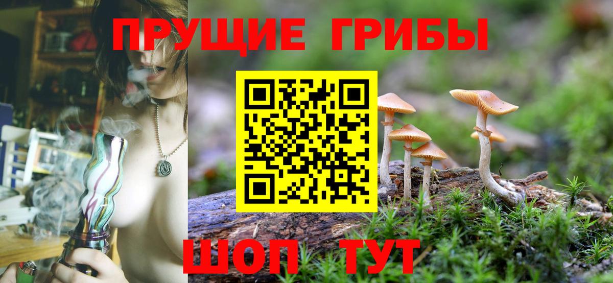 Псилоцибиновые грибы ЛСД  Вход с VPN  Советская Гавань 