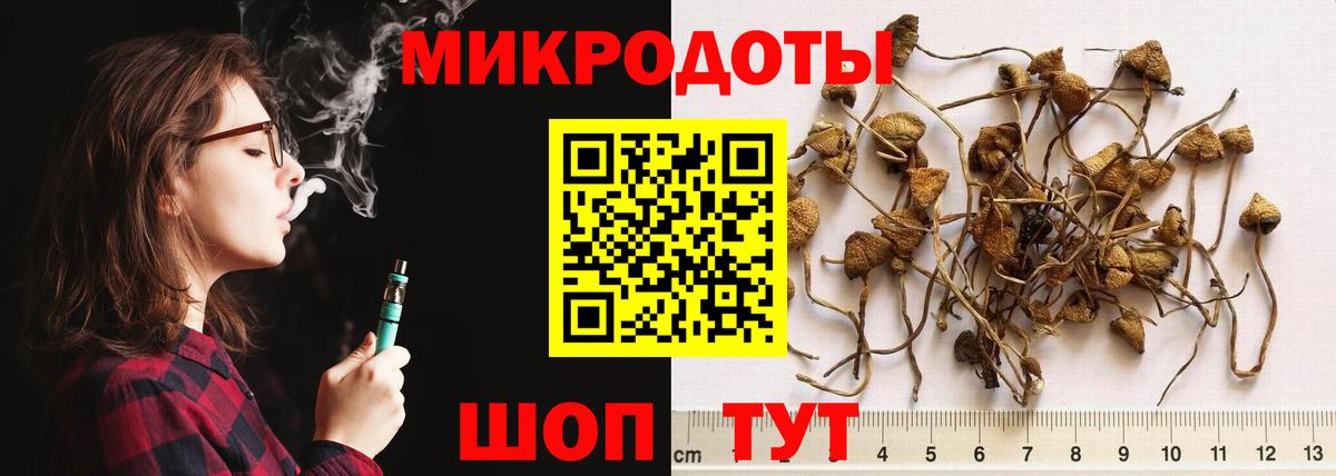 Галлюциногенные грибы Psilocybine cubensis Советская Гавань